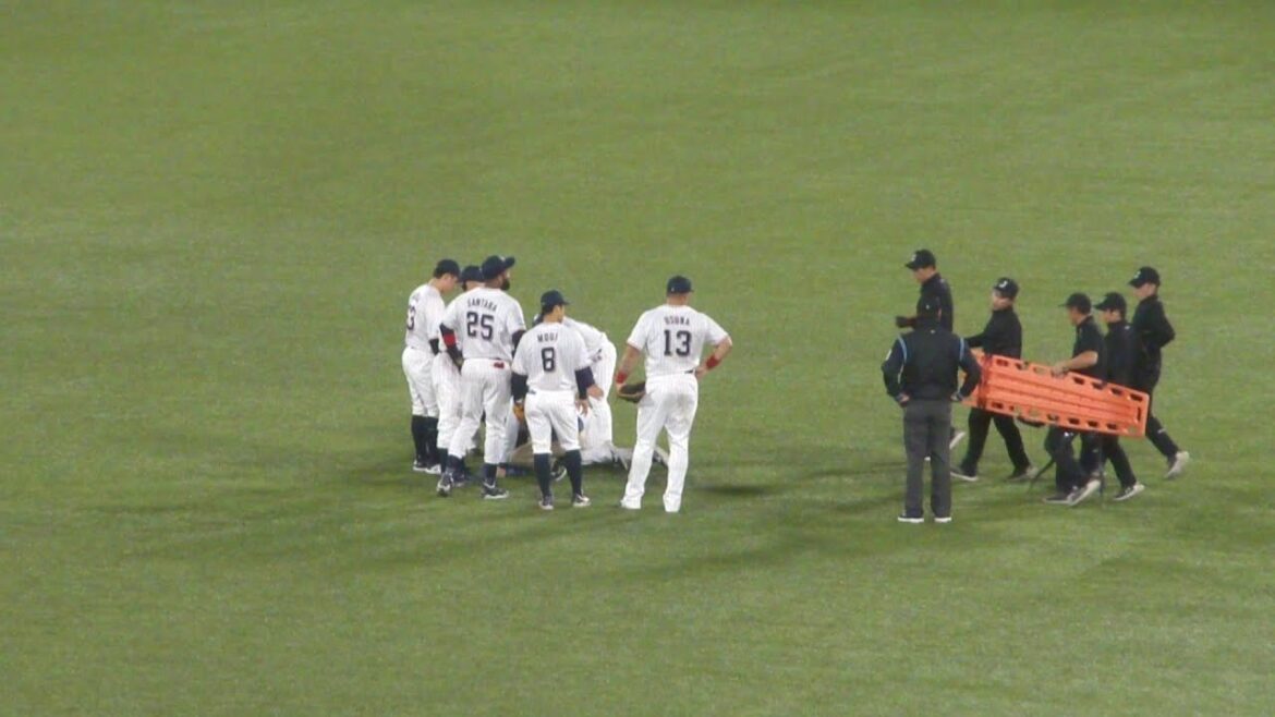 ヤクルト 長岡秀樹 ナイスプレー　ヤクルト vs  巨人　2025年4月20日(日) 神宮球場