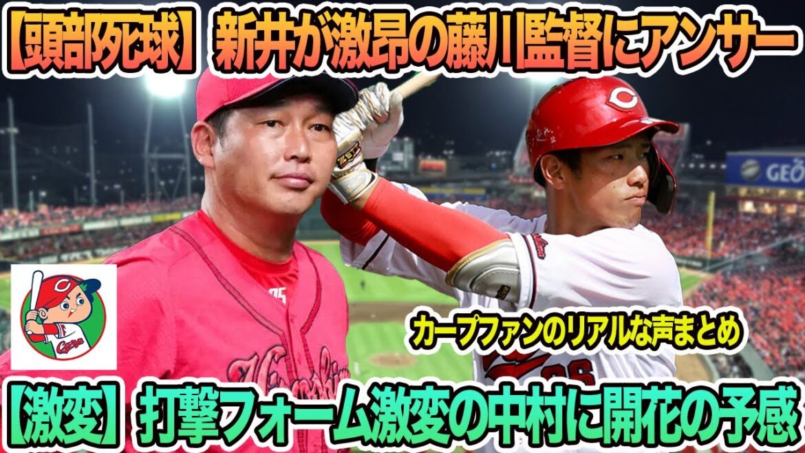 【広島】【頭部死球】新井監督が激昂の藤川監督にアンサー、【激変】打撃フォーム激変の中村に開花の予感　プロ野球　　広島カープ　新井監督一問一答