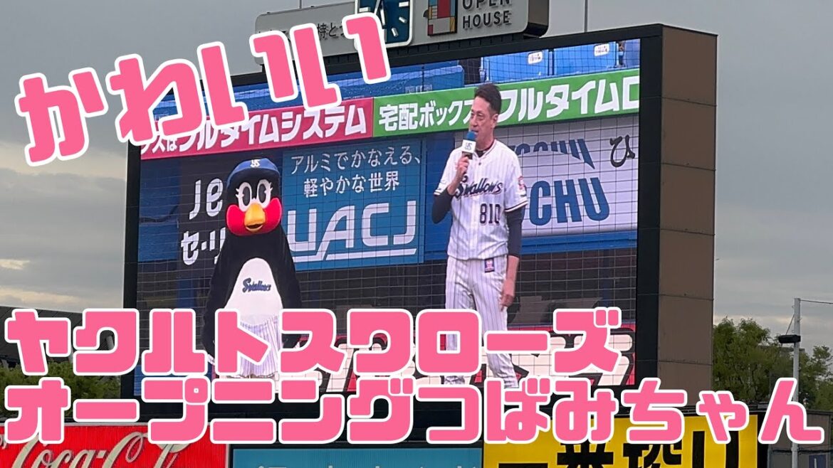 つばみちゃんかわいいオープニング！ヤクルトスワローズ（2025.4.20）