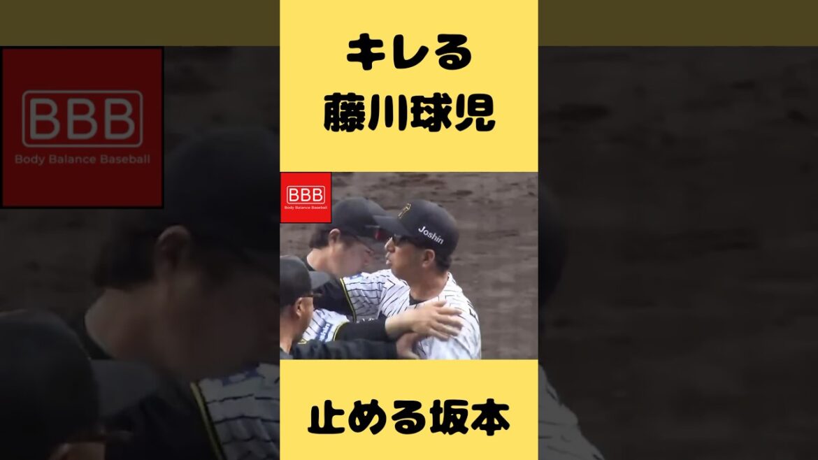 藤川球児大暴走😡#shorts #阪神タイガース #藤川球児 #広島東洋カープ