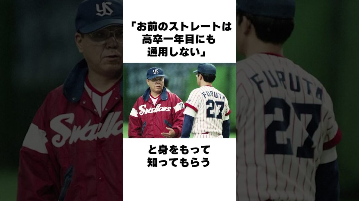 「高津のストレートは松井に通用しない」野村克也についての雑学#野球雑学 #ヤクルトスワローズ