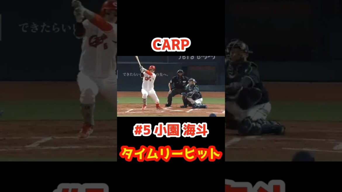 2025/4/23 カープ vs ヤクルト 【タイムリーヒット】#5小園海斗 #carp