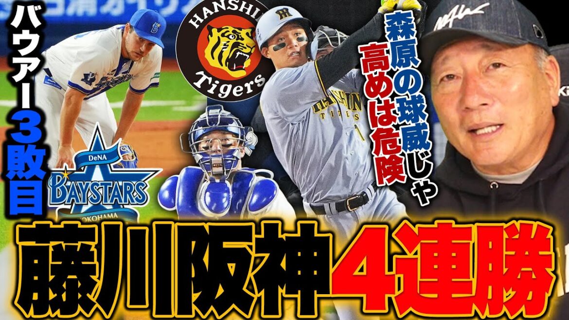 【DeNAvs阪神3連戦】藤川阪神がビジター8連勝!!坂本のリードを高評価!今季0勝3敗…バウアーが勝てない理由は?特に気になった"筒香を使うタイミング"…高木豊が詳しく解説します!!