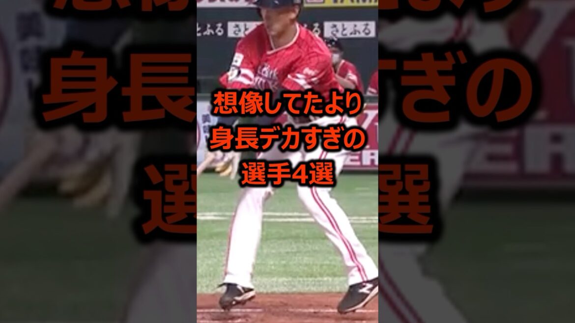想像してたより身長デカすぎる選手4選 #プロ野球 #野球雑学