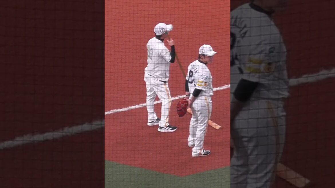 奈良原 浩 & 高谷 裕亮 ｺｰﾁ　トンボでグランド整備中　#福岡ソフトバンクホークス #shorts