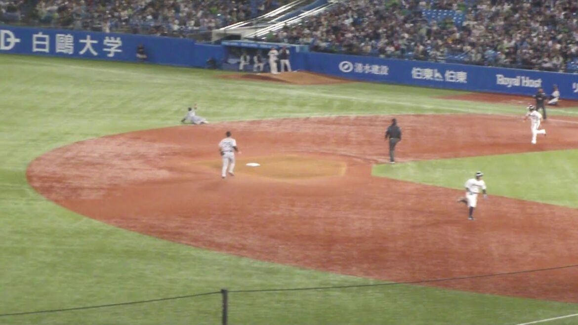 巨人 吉川尚輝 ナイスプレー 本日3つ目　ヤクルト vs  巨人　2025年4月20日(日) 神宮球場