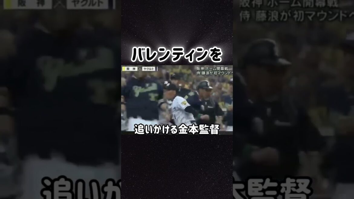 バレンティンを追いかける#金本監督#怒り#NPB