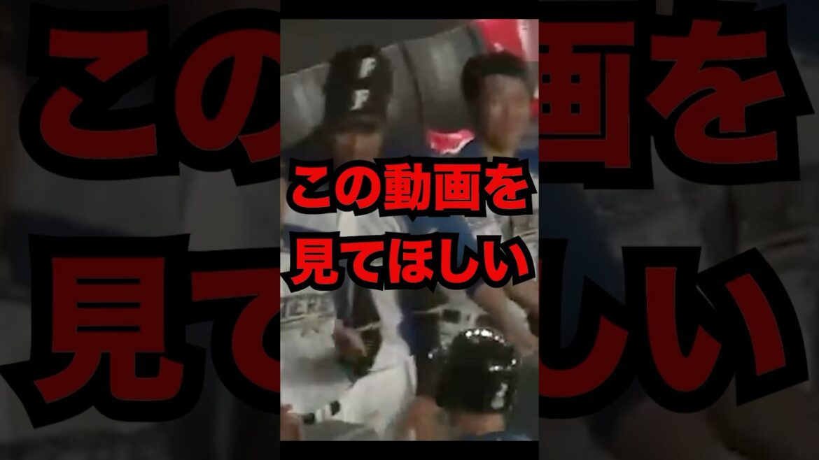 この動画を見てほしい(日本ハム 杉谷)#shorts #プロ野球 この動画を見てほしい(日本ハム 杉谷)#shorts #プロ野球