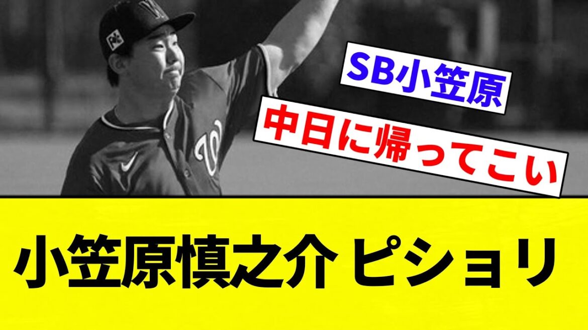 【ピショリしんのすけ】小笠原慎之介 ピショリ【プロ野球反応集】【2chスレ】【なんG】