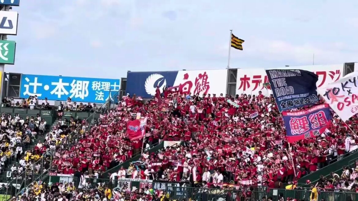 #広島東洋カープ#ラッキーセブン 『#それゆけカープ 』ビジター #阪神甲子園球場25.4.20.