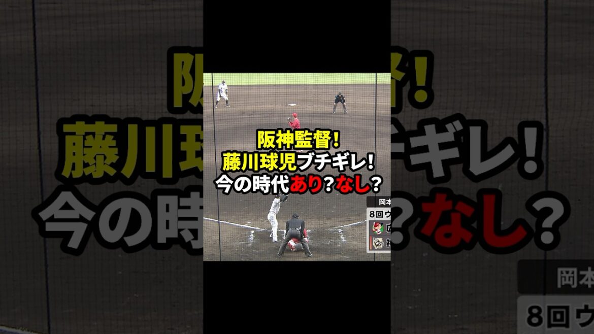 藤川監督ブチ切れ！#shorts #野球#雑学