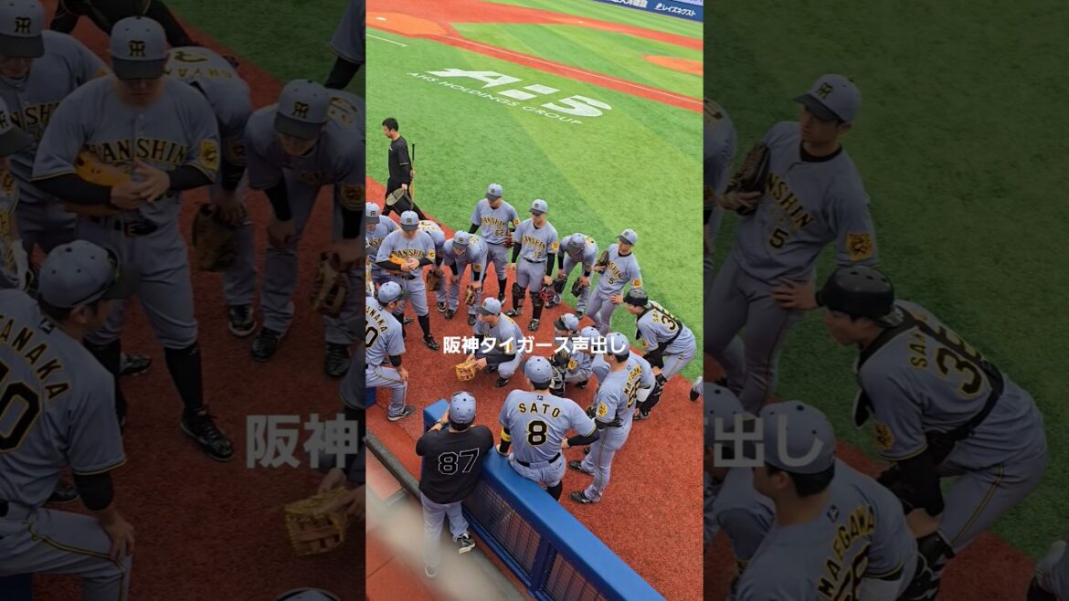 阪神タイガース声出し 4.24