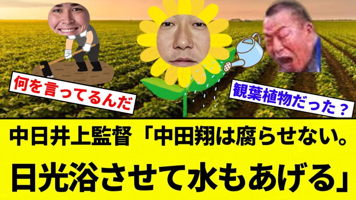 【サトウキビ井上】中日井上監督「中田翔は腐らせない。日光浴させて水もあげる」【プロ野球反応集】【2chスレ】【なんG】 【サトウキビ井上】中日井上監督「中田翔は腐らせない。日光浴させて水もあげる」【プロ野球反応集】【2chスレ】【なんG】