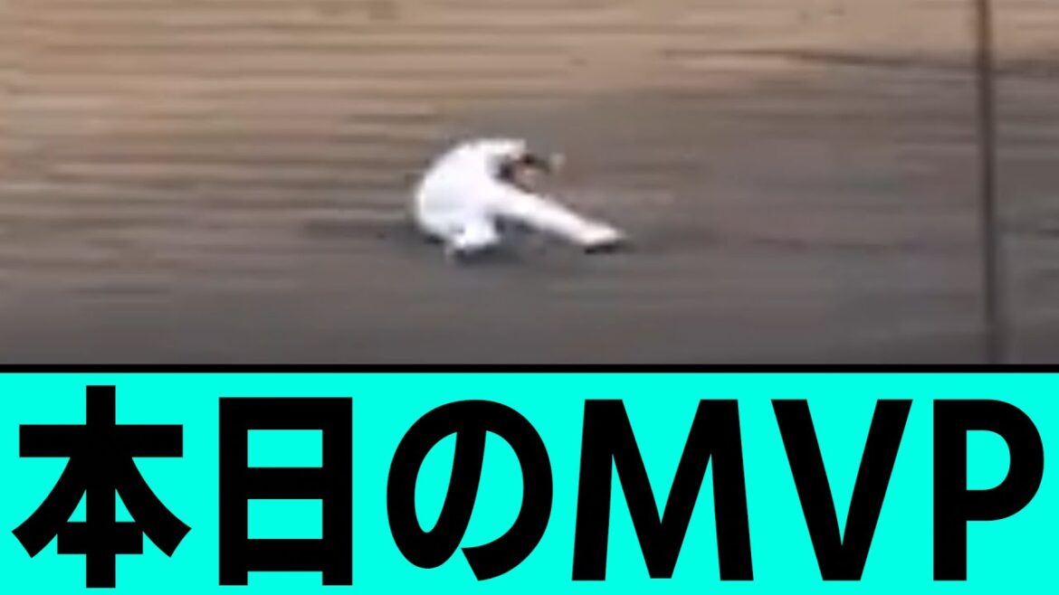 本日のMVP。　　　　　　　　　　　　　　　【プロ野球/阪神タイガース/なんJ2ch5chスレまとめ/セリーグ/近本光司/大山悠輔/佐藤輝明/坂本誠志郎/小幡竜平ファインプレー/2025年4月26日】