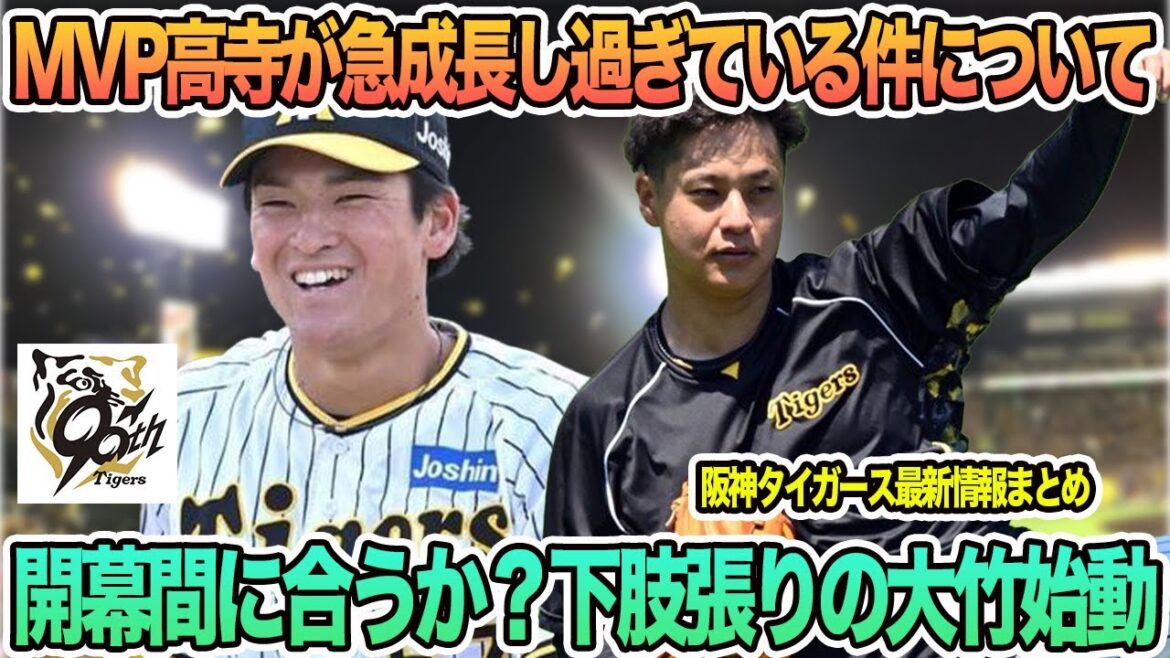 【MVP高寺が急成長しすぎている件について】開幕間に合うか?下肢張りの大竹がキャッチボール 阪神タイガース 阪神 藤川監督 オープン戦 OP戦 高寺望夢 大竹耕太郎 春季キャンプ 【MVP高寺が急成長しすぎている件について】開幕間に合うか?下肢張りの大竹がキャッチボール 阪神タイガース 阪神 藤川監督 オープン戦 OP戦 高寺望夢 大竹耕太郎 春季キャンプ