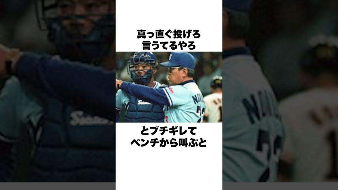 「ホームランを打った松井秀喜に説教」古田敦也と野村克也についての雑学#野球 #野球雑学#巨人