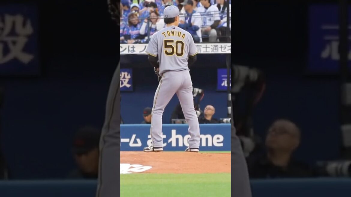 富田蓮 先発 阪神タイガース 2025.4.24