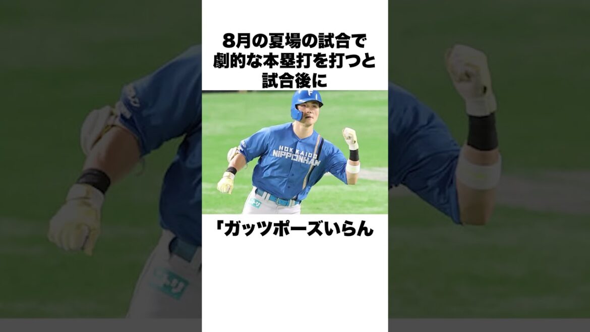 「ホームランを打ってもガッツポーズするな」新庄剛志と清宮幸太郎についての雑学#野球 #野球雑学 #日本ハムファイターズ