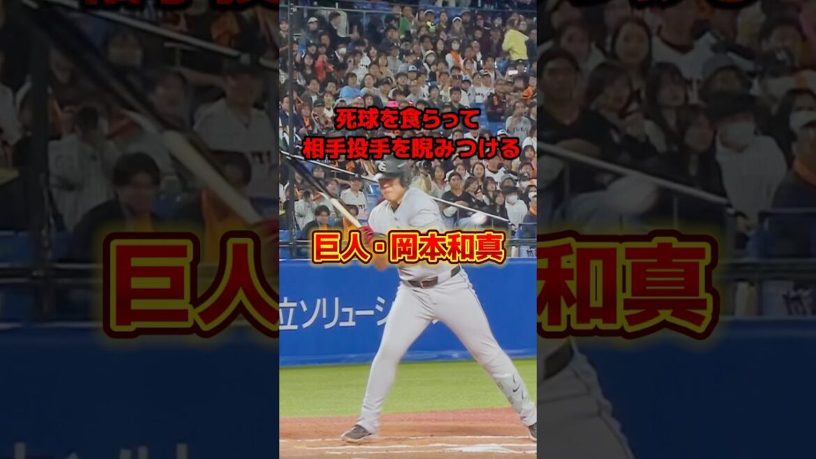 最後にもうひと睨み⁉️