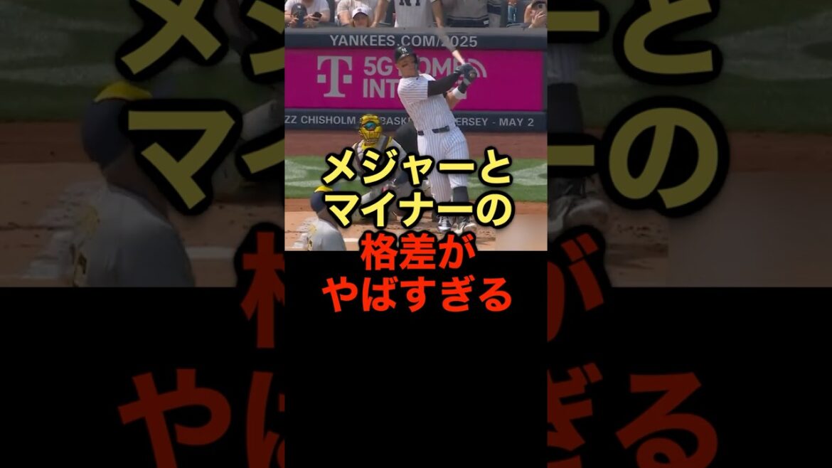 メジャーとマイナーの格差がやばすぎる #野球 #メジャーリーグ #野球解説