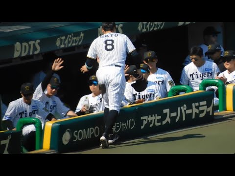 【4番の仕事】同点タイムリーを放った佐藤輝明をハイタッチで迎える阪神ナイン 【4番の仕事】同点タイムリーを放った佐藤輝明をハイタッチで迎える阪神ナイン