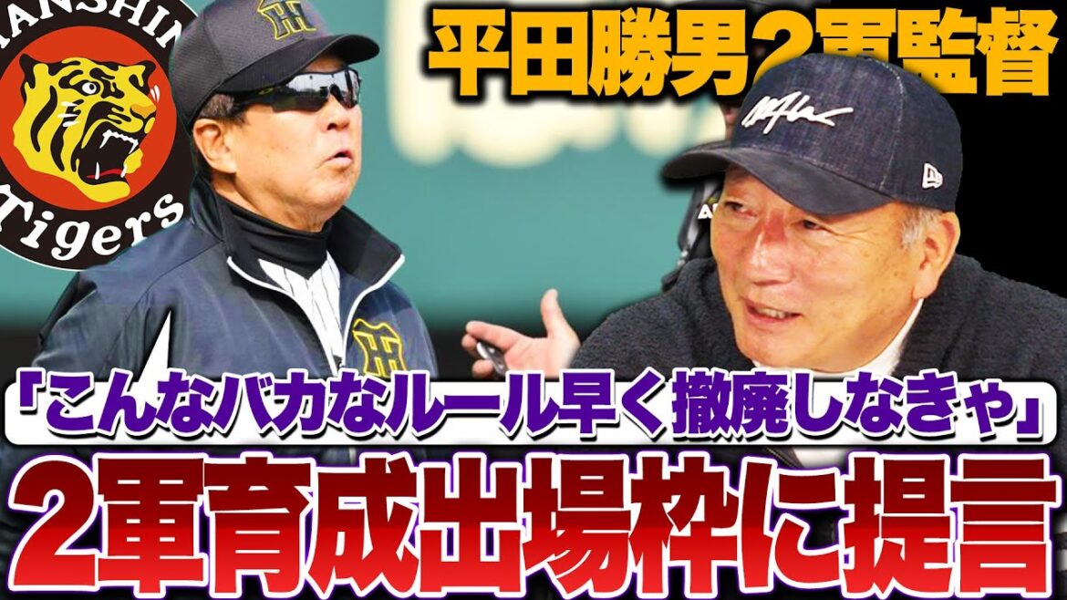 【提言】阪神二軍平田監督が育成制度に怒り‼︎5人枠を撤廃するべき‼︎高木豊『カテゴリー別リーグを導入するべき？』高木の見解を語ります！