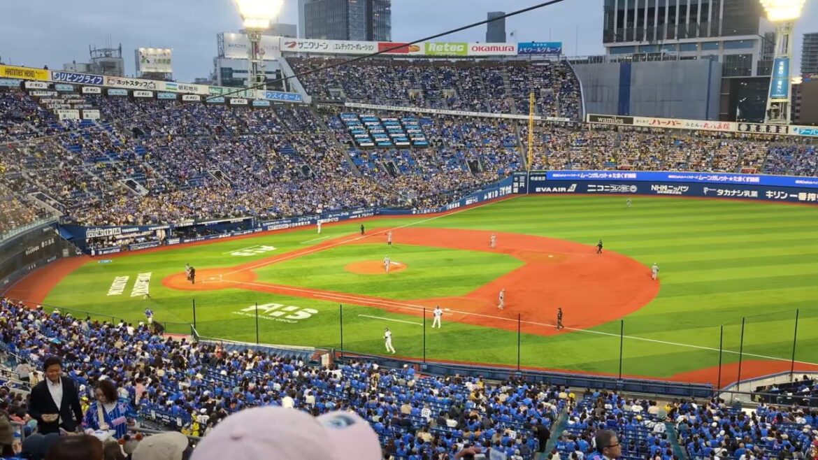 2025年 横浜DeNA 京田陽太 登場曲 幾億光年/Omoinotake