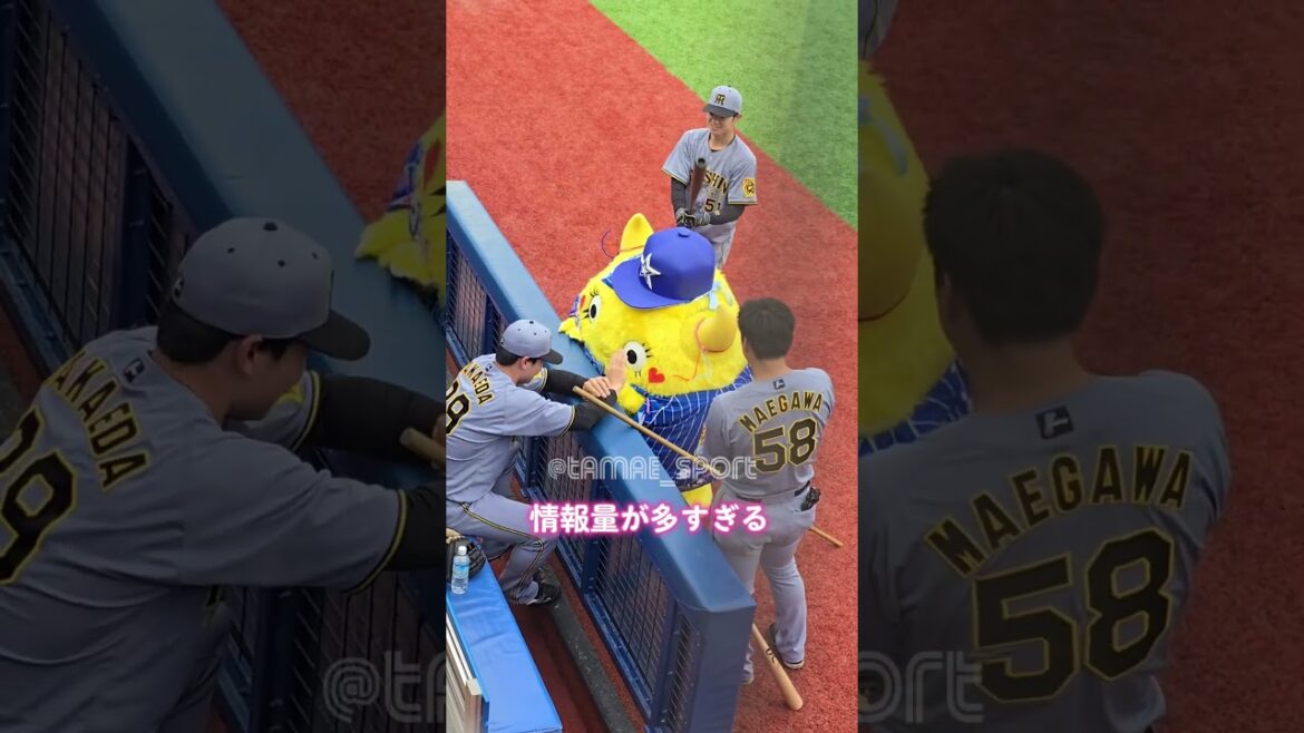 なんだこの逆ハーレムは #阪神タイガース #榮枝裕貴 #中野拓夢 #前川右京