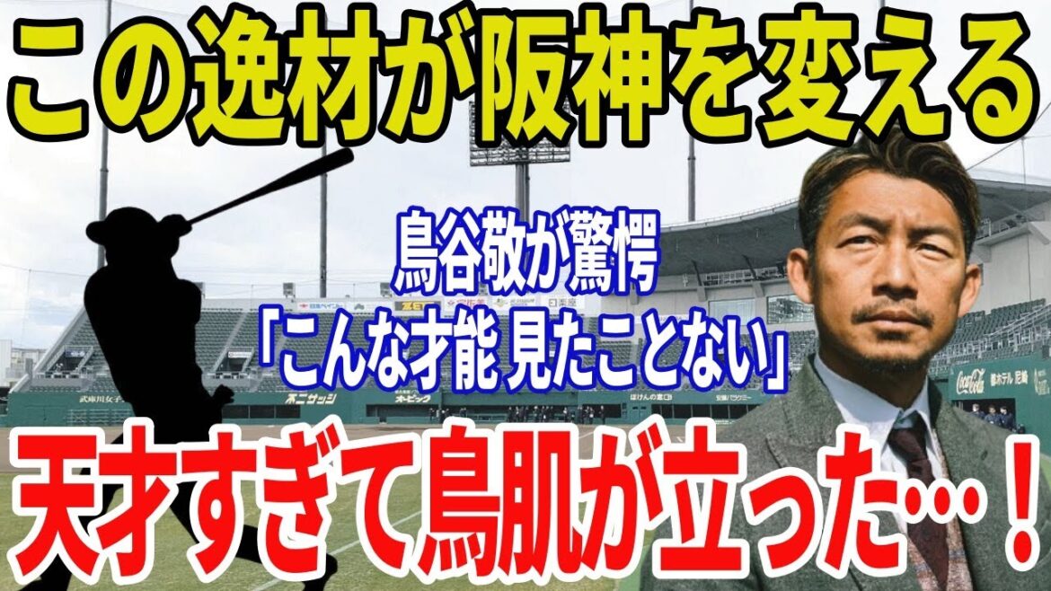 鳥谷敬が絶賛「間違いなく将来のスター」…阪神の逸材に衝撃、思わず漏れた“本音”とは【阪神タイガース】