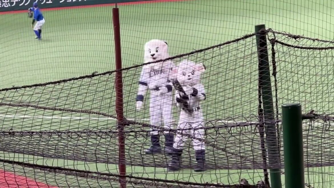 ライナの自打球バズーカタイム【西武vsDeNA ファーム】2025/4/22 ライナの自打球バズーカタイム【西武vsDeNA ファーム】2025/4/22