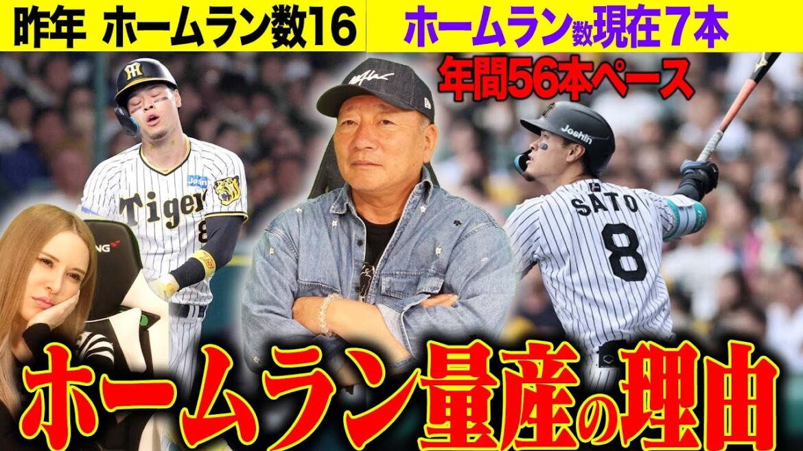【この差は何？】『昨年と比べて…』阪神佐藤輝明がHR量産！掛布さん以来のホームラン王誕生か？今年HRを量産している理由について語ります！【プロ野球】
