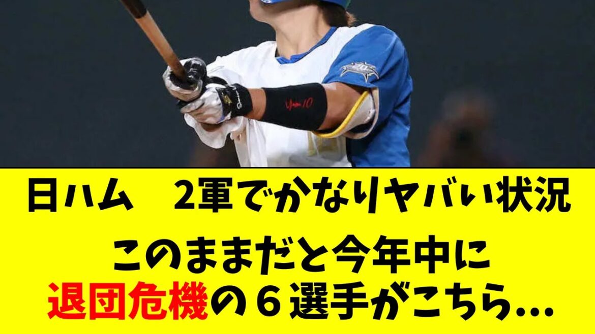 【日ハム】2軍でマズすぎる状況に。今オフに退団危機の６人