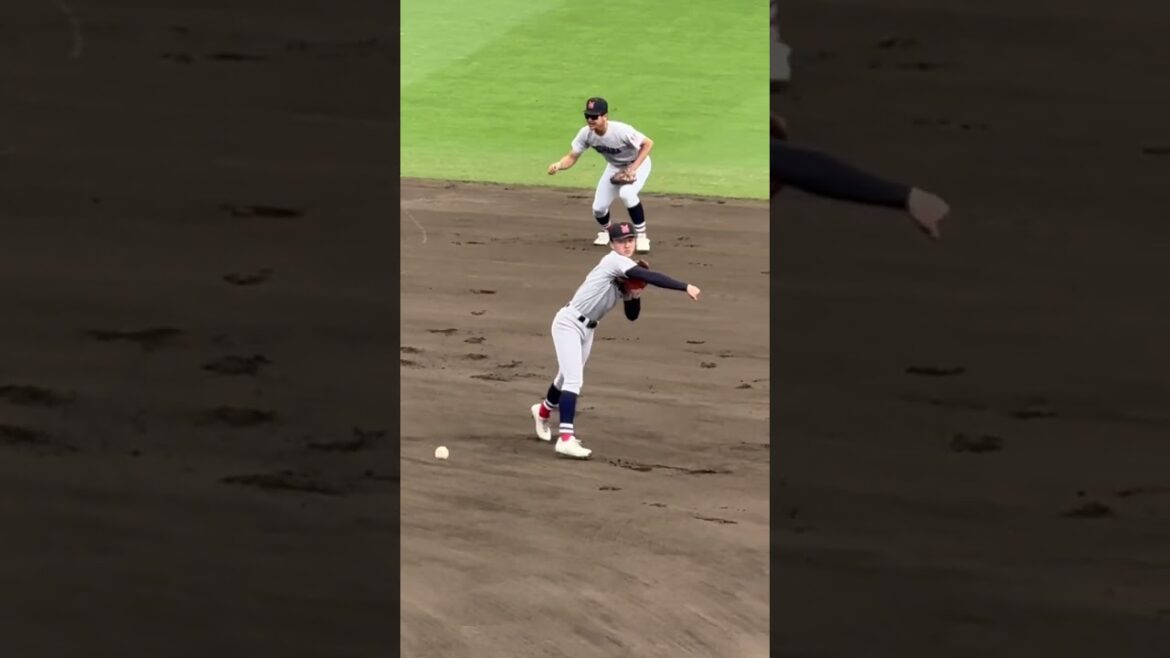 横浜高校　甲子園王者の圧巻シートノック！　#高校野球 #横浜高校 #野球 #守備 #プロ野球 #高校生