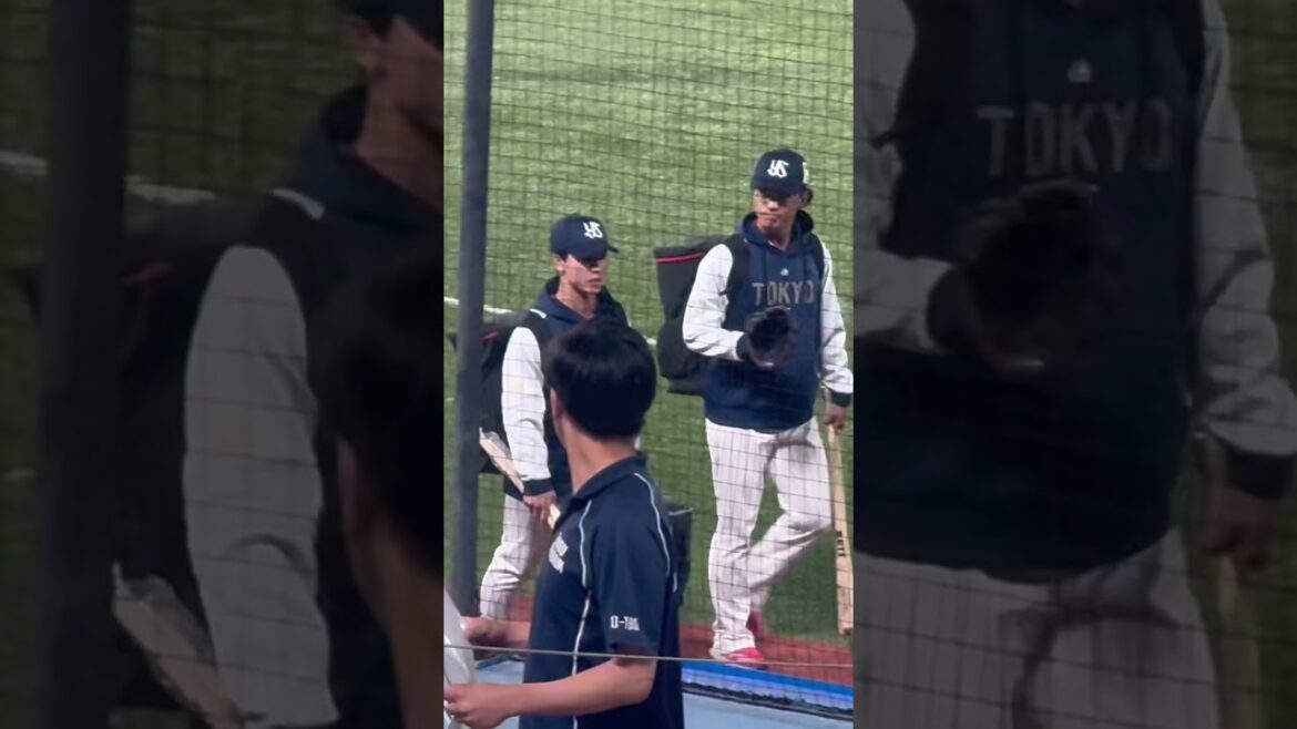 内山壮真選手がんばれ！ヤクルトスワローズ