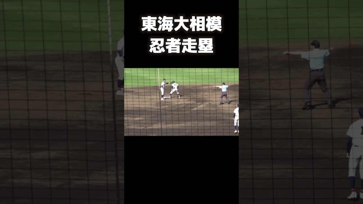 東海大相模　忍者走塁　#高校野球 #東海大相模 #忍者 #ninja #野球 #走塁 #高校生