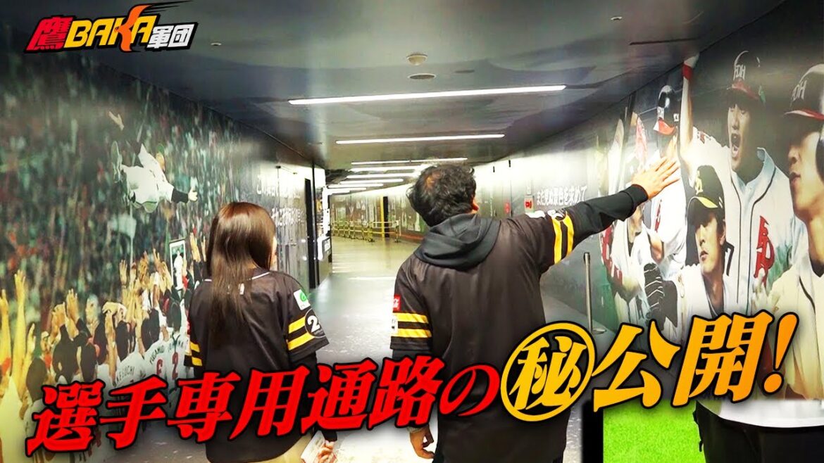 【大公開】川瀬晃のグローブには〇〇がある!?城島CBO発案の新選手通路が凄すぎた 【大公開】川瀬晃のグローブには〇〇がある!?城島CBO発案の新選手通路が凄すぎた