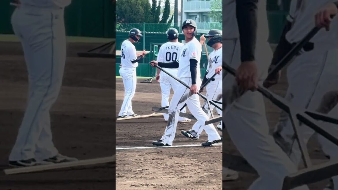 トンボかけ 2025/4/19 ロッテ vs ヤクルト  #chibalotte