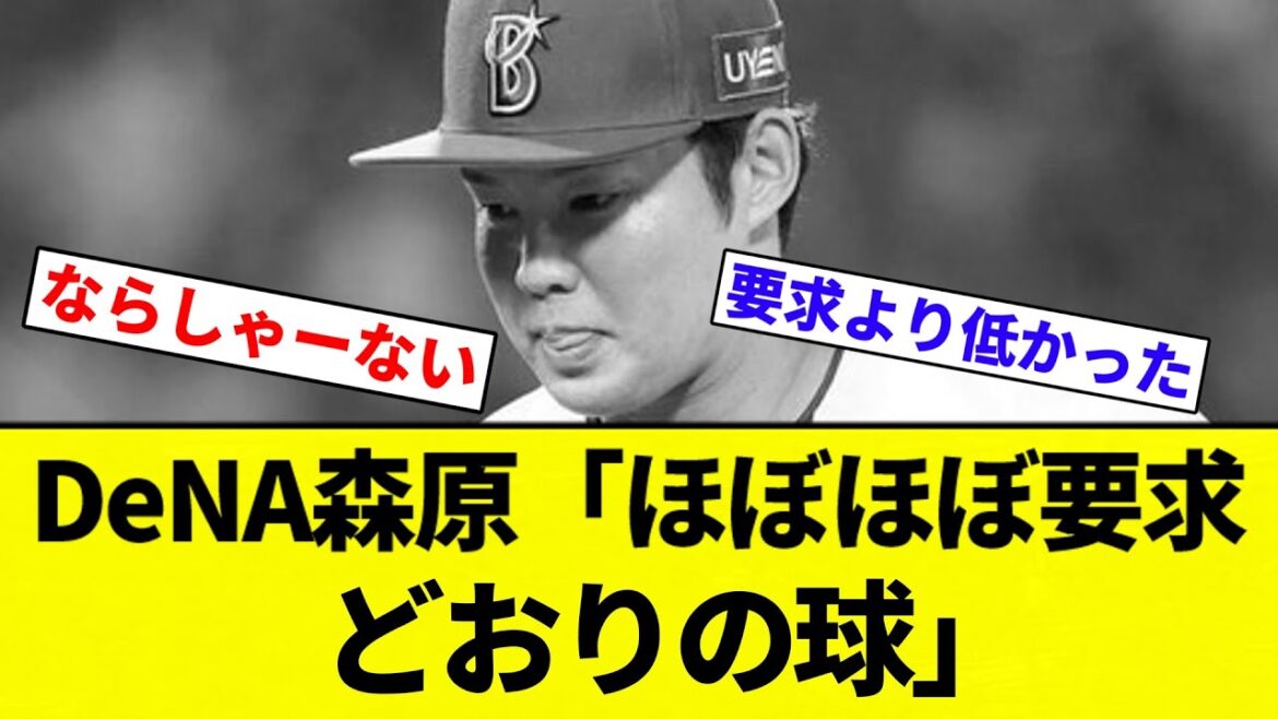 【ならしゃーない】DeNA森原「ほぼほぼ要求どおりの球」【プロ野球反応集】【2chスレ】【なんG】 【ならしゃーない】DeNA森原「ほぼほぼ要求どおりの球」【プロ野球反応集】【2chスレ】【なんG】