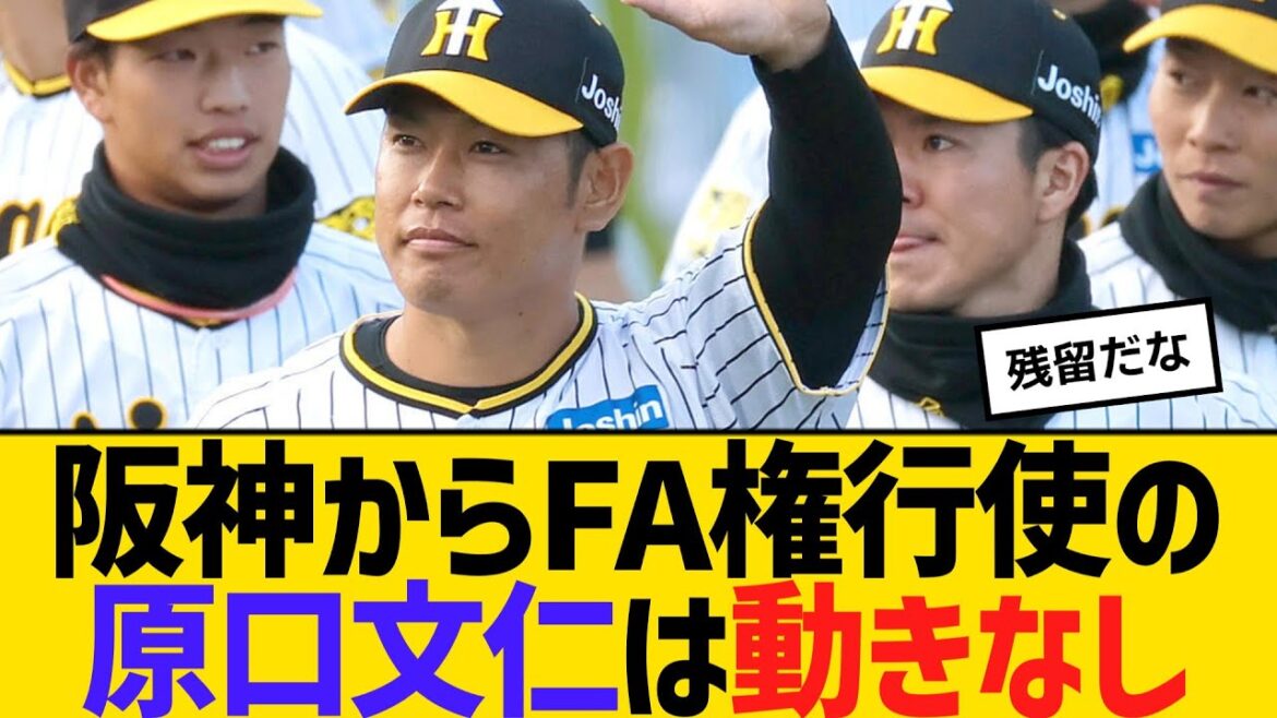 阪神からFA権行使の原口文仁は動きなし　嶌村球団本部長「こちらとしては待つ以外のことはない」　【ネットの反応】【反応集】