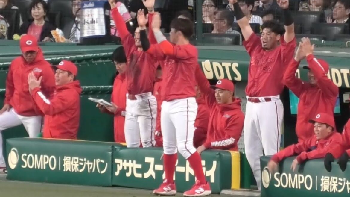 先制された直後、菊池が同点のタイムリーツーベースを打った瞬間のカープベンチ！広島東洋カープvs阪神タイガース 2025年4月18日