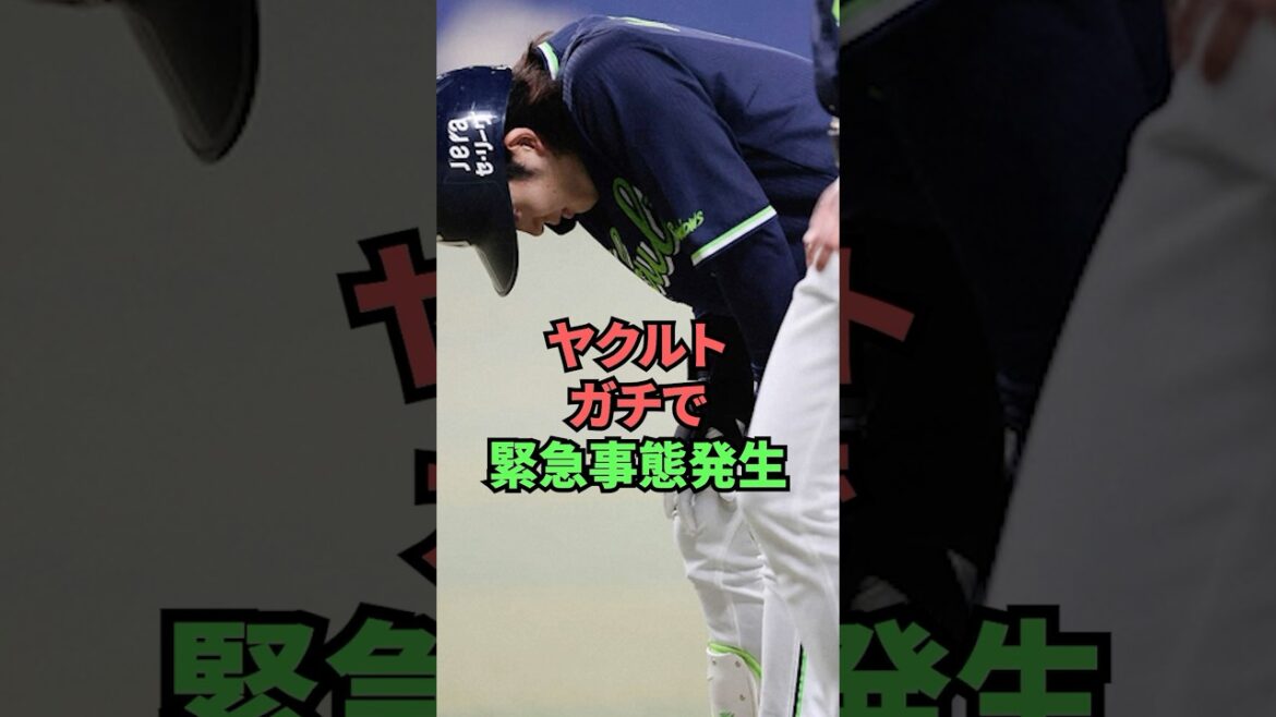 ヤクルトガチで緊急事態発生