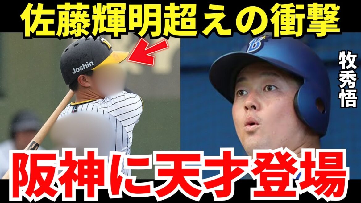 牧秀悟「阪神は将来のあるバッターが多い」横浜の4番であり日本代表でもある牧が驚いた若虎がすごかった！