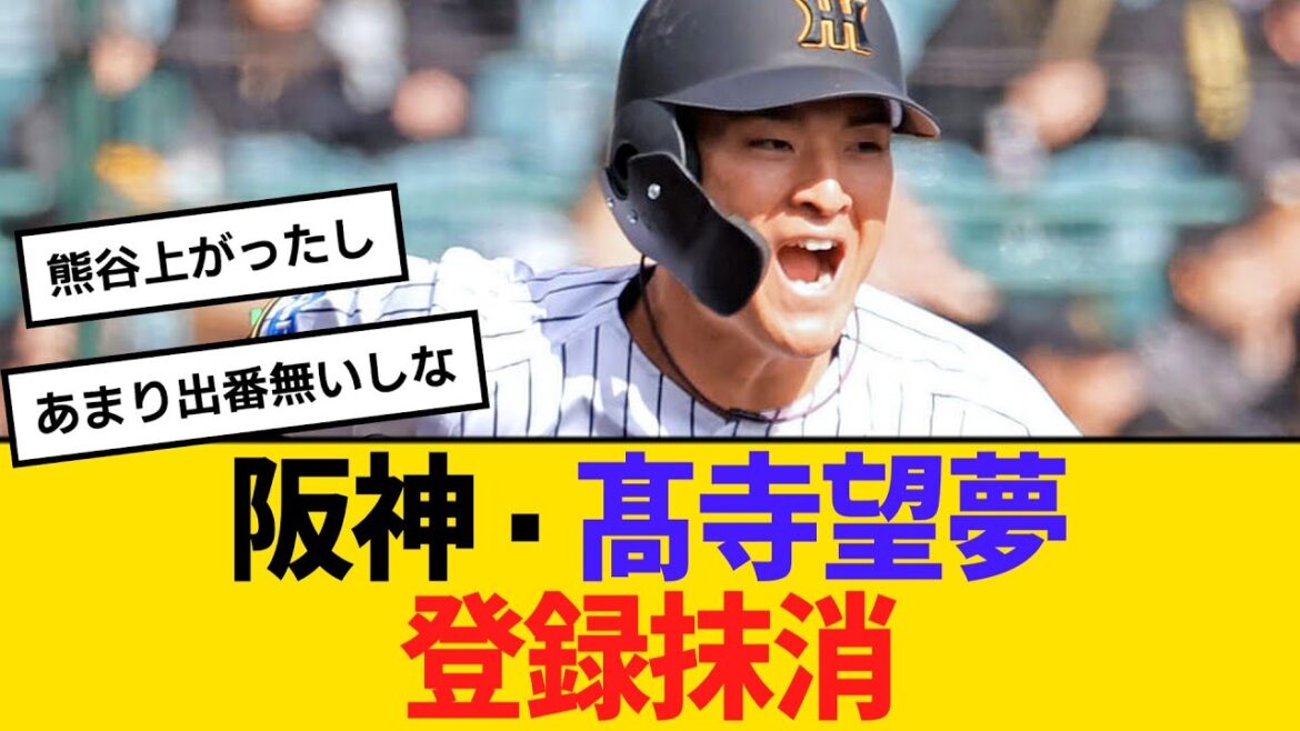阪神・髙寺望夢が登録抹消、2軍再調整へ【ネットの反応】【反応集】