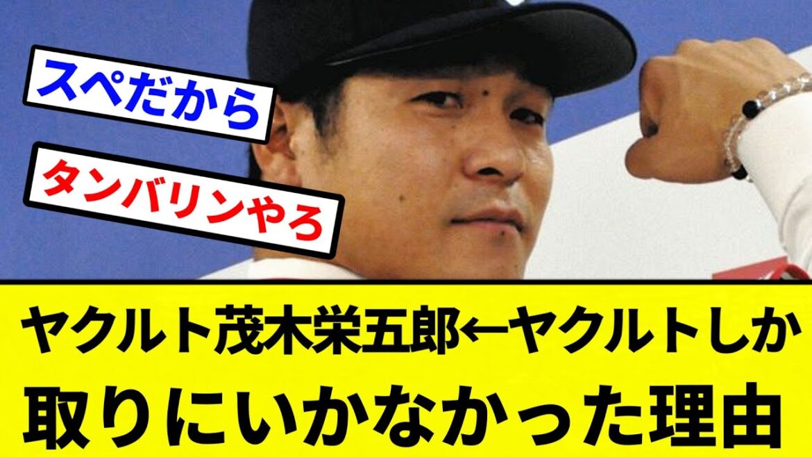 【疑問】ヤクルト茂木栄五郎←ヤクルトしか取りにいかなかった理由【プロ野球反応集】【2chスレ】【なんG】