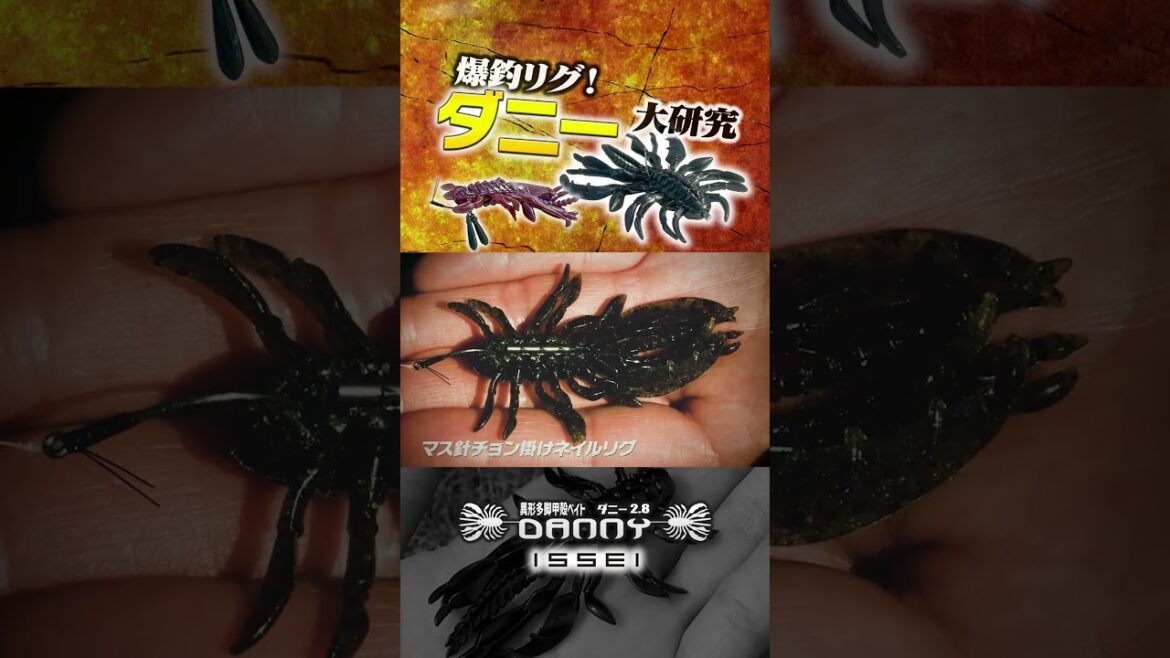 イッセイの甲殻類系ワーム「ダニー」のマル秘リグで大爆釣【イッセイバス釣り研究所】　#shorts