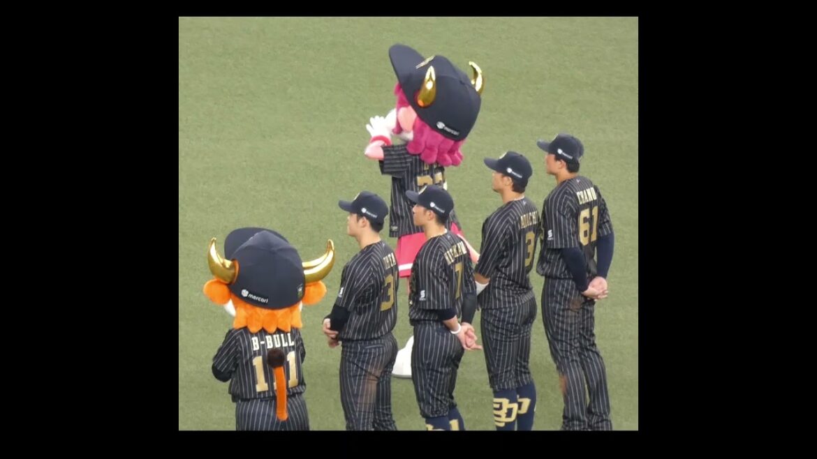 デイリーヒーロー 's を称えるタイム　#オリックスバファローズ #shorts