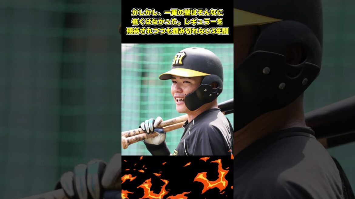 【阪神・考察】阪神・戦力外考察、小野寺暖 #阪神タイガース #プロ野球 #藤川球児 #hanshintigers #野球