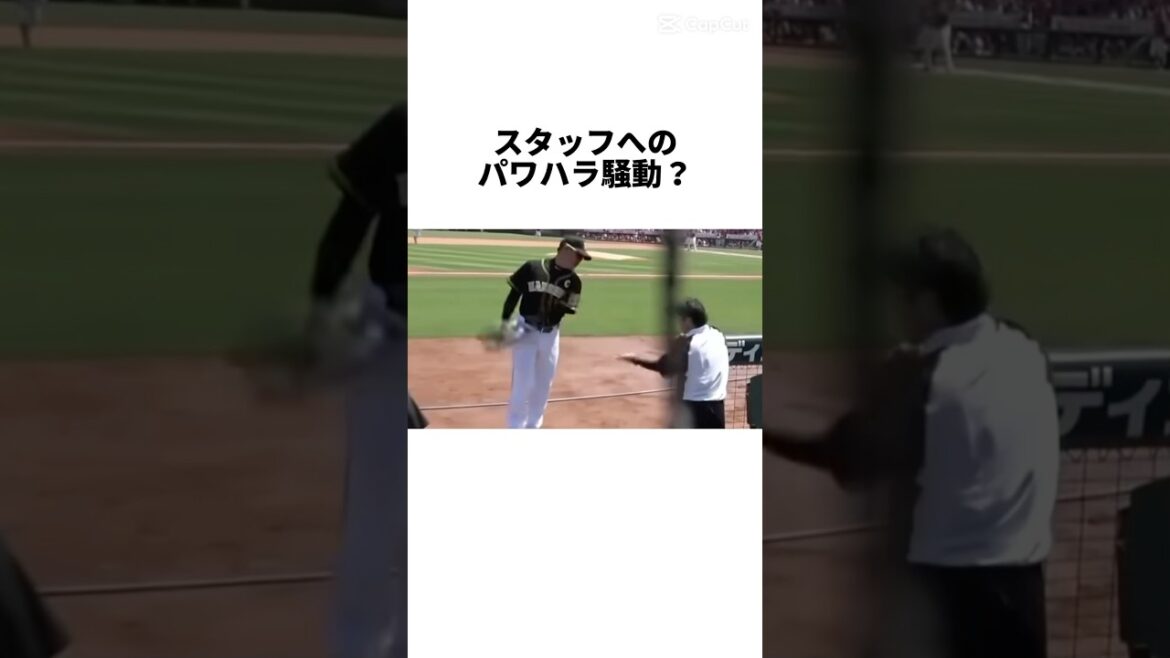 『パワハラ疑惑をかけられた福留孝介』について　#shorts #プロ野球 #野球 #阪神　#阪神タイガース　#福留孝介　#藤浪晋太郎　#パワハラ