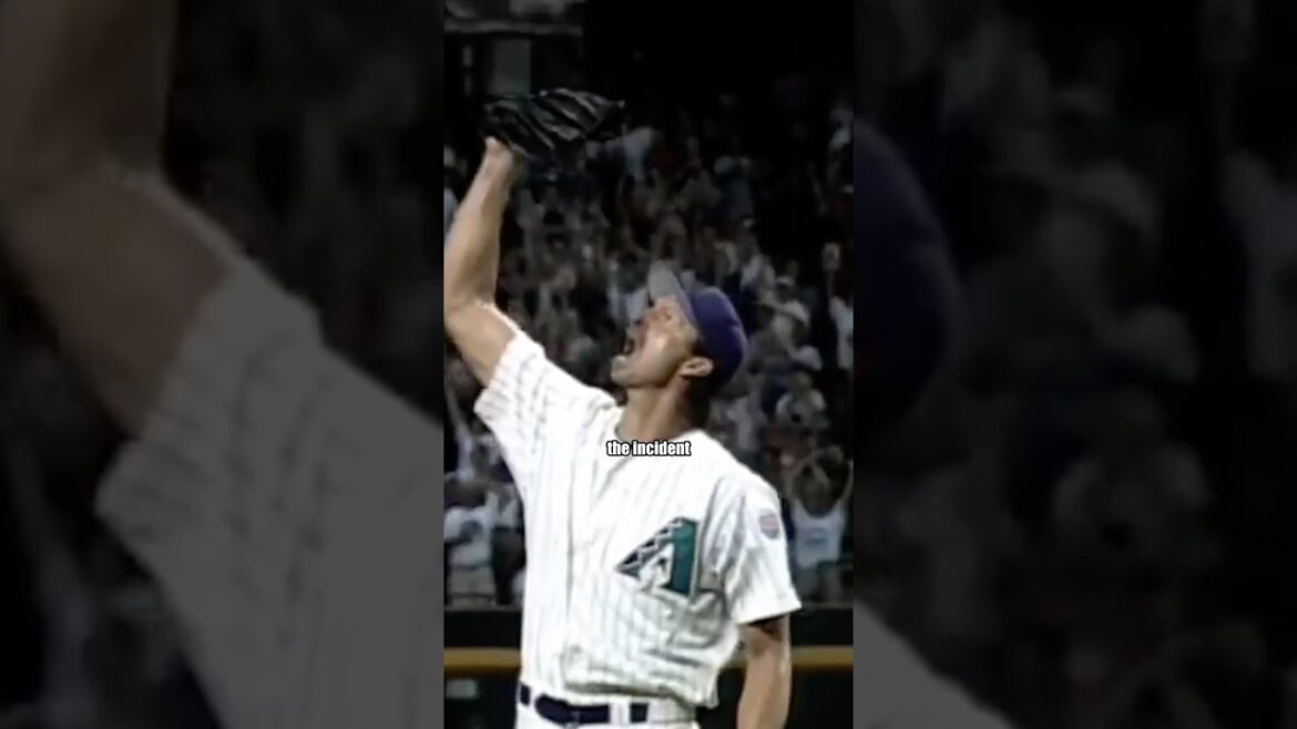 This Pitcher Exploded a Bird With a Fastball