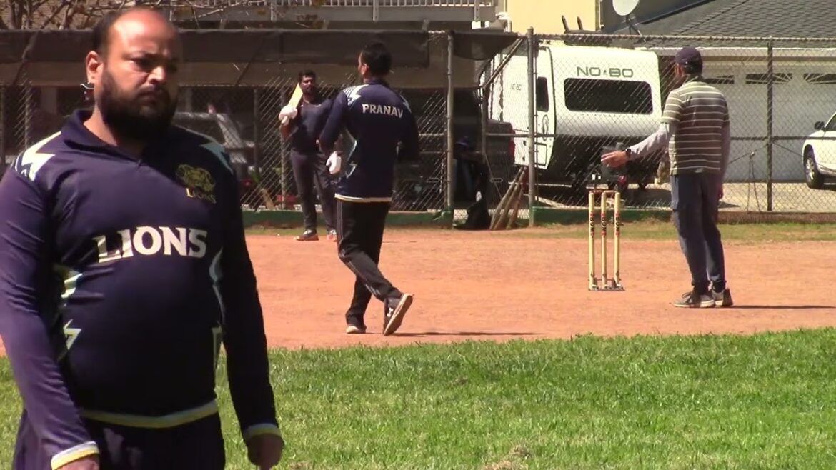 Cal Kings Vs Lions | Marijane Hamann BB | 2024 Cricbay Regular Season